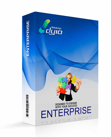  DY10's Enterprise Website Design Package